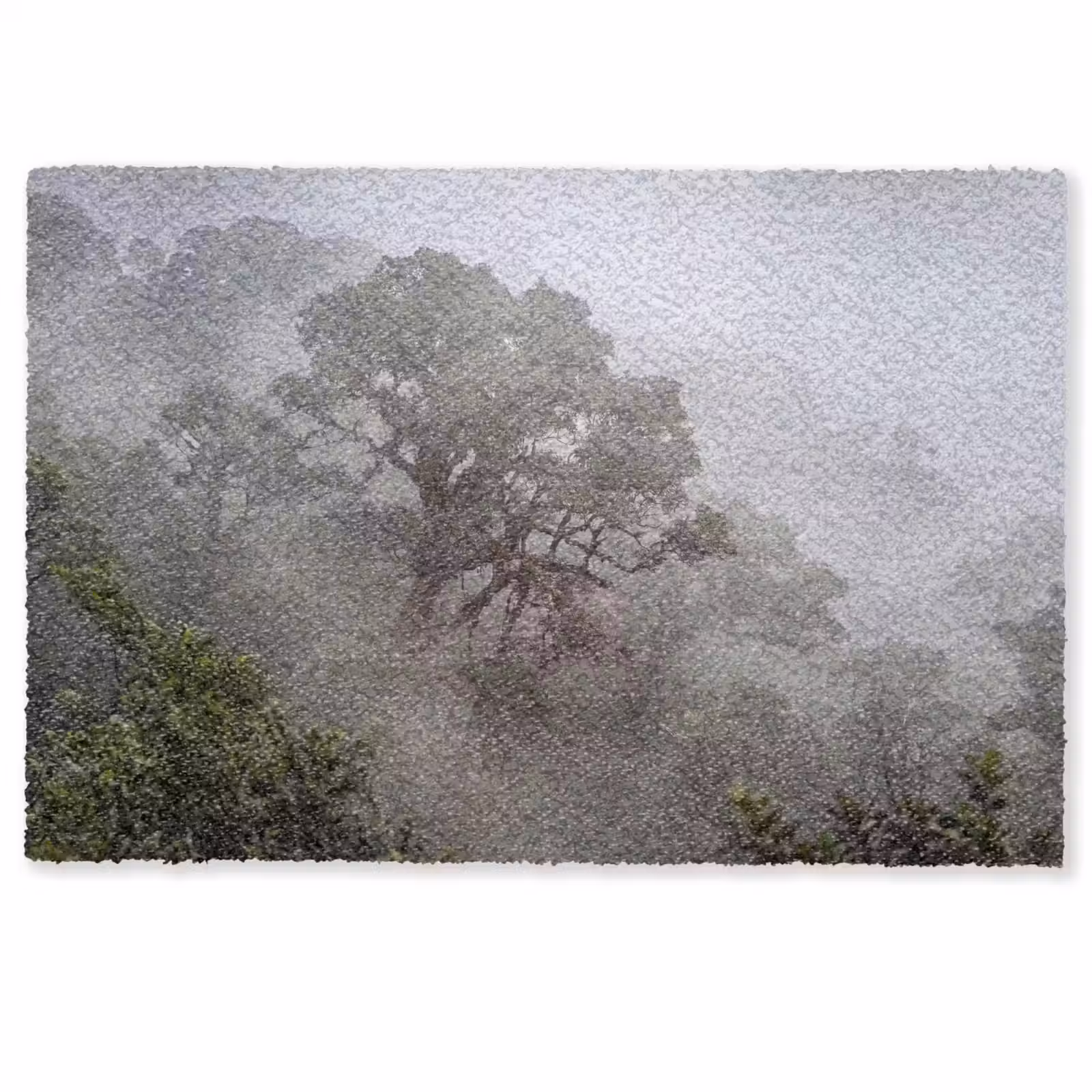 Deurmat - Boom - Mistig - Bos - Groen - Natuur — 1