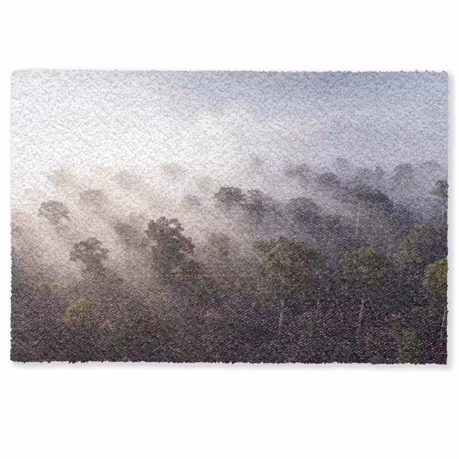 Deurmat - Bos - Mist - Natuur - Groen — 1