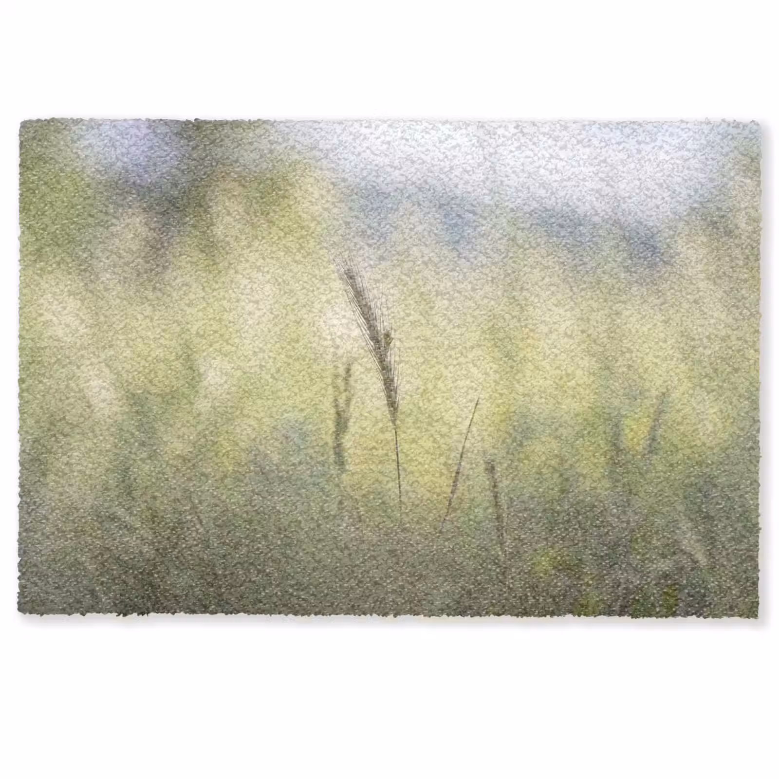 Deurmat - Graan - Aar - Natuur - Groen - Detail — 1