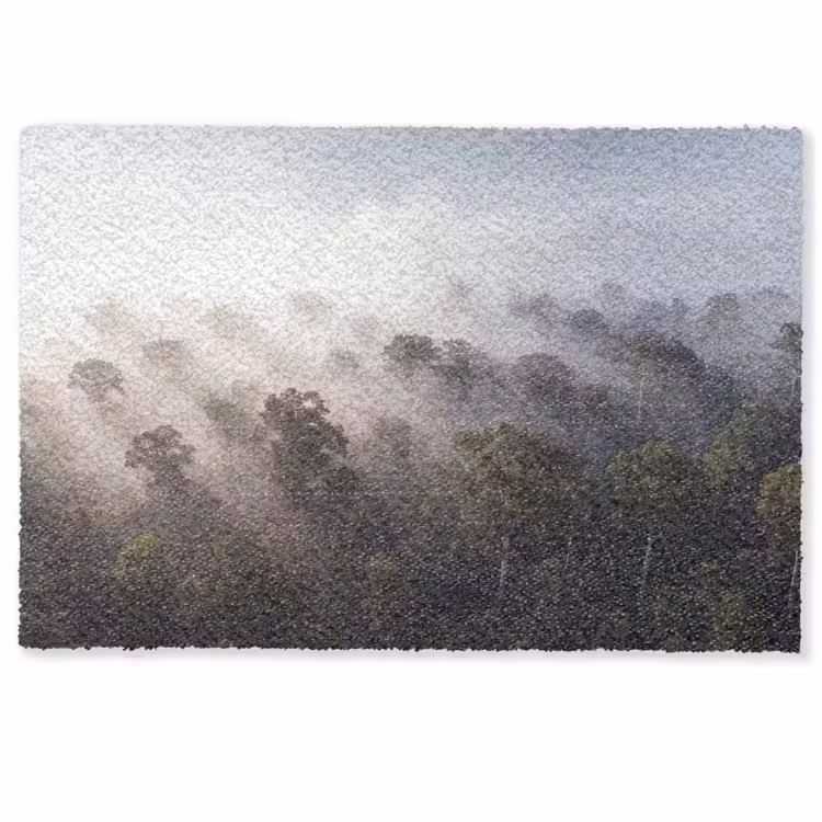 Deurmat - Bos - Mist - Natuur - Groen — 1