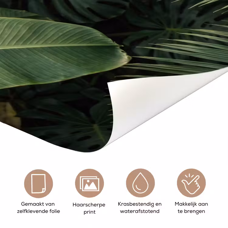 Deursticker - Bladeren - Groen - Tropisch - Natuur — 3