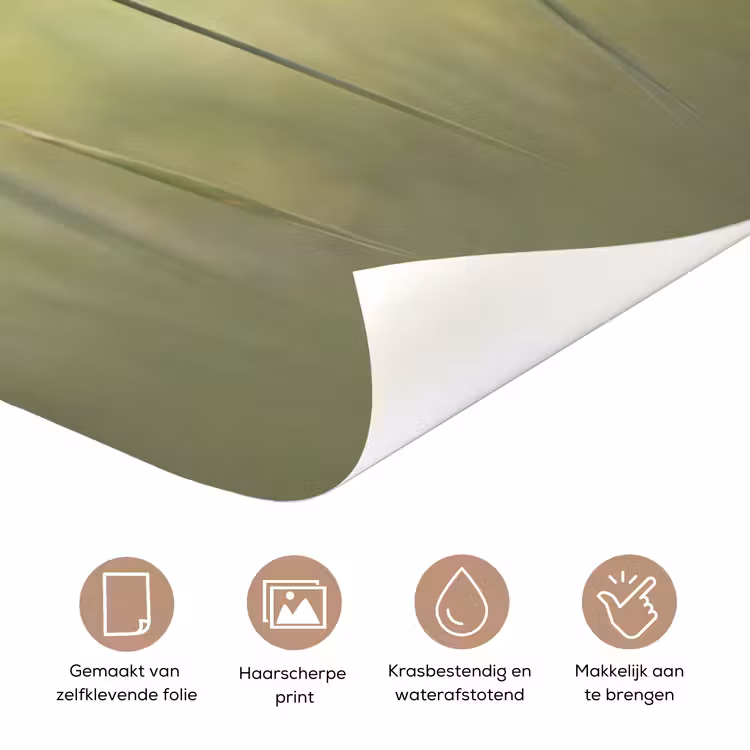Deursticker - Graan - Aar - Natuur - Groen - Detail — 3