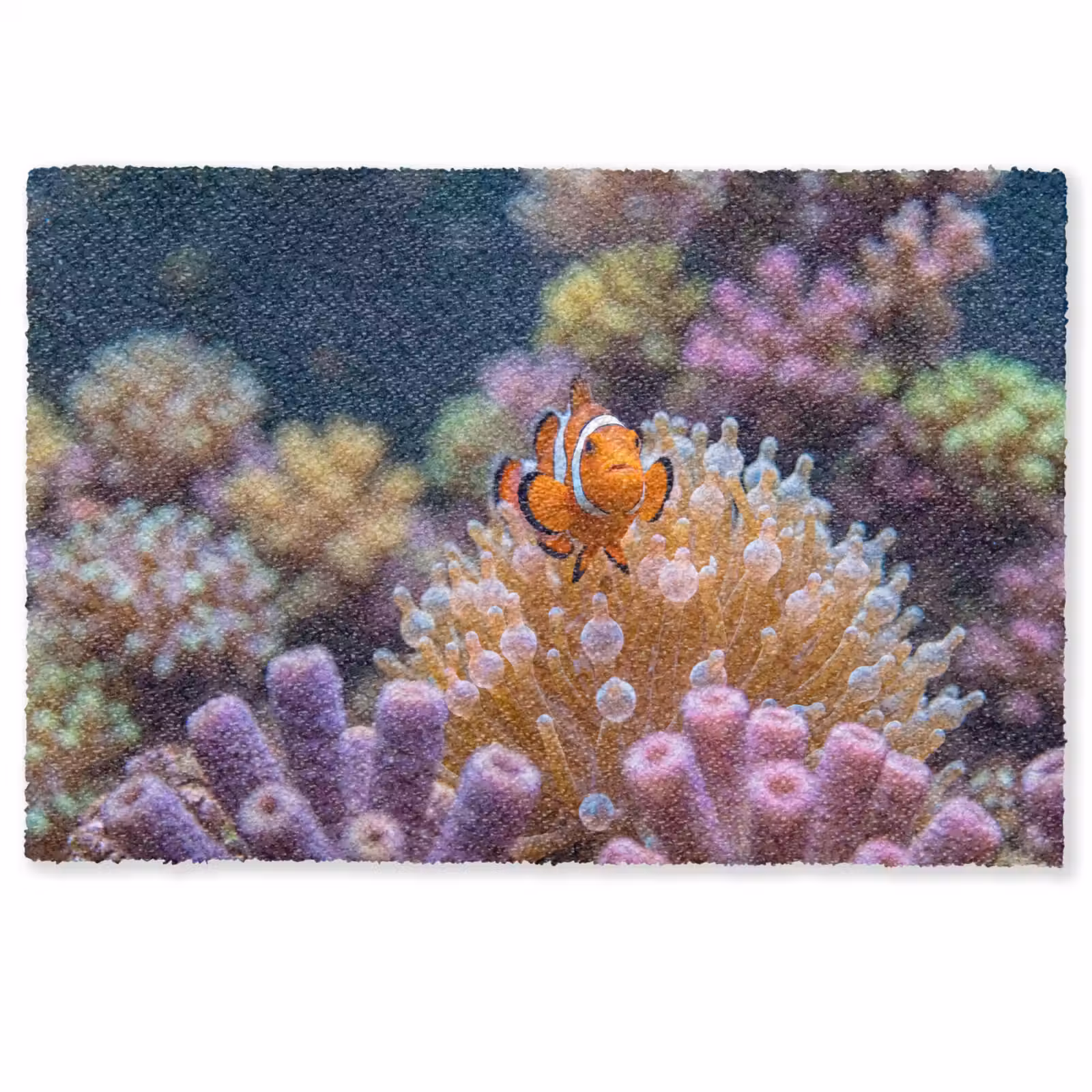 Deurmat - Vis - Koraal - Onderwater - Oranje - Dieren — 1