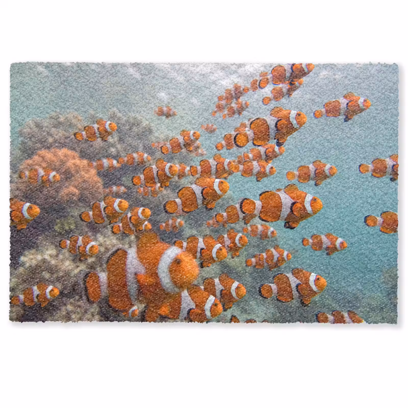 Deurmat - Vis - School - Onderwater - Dieren - Oranje — 1
