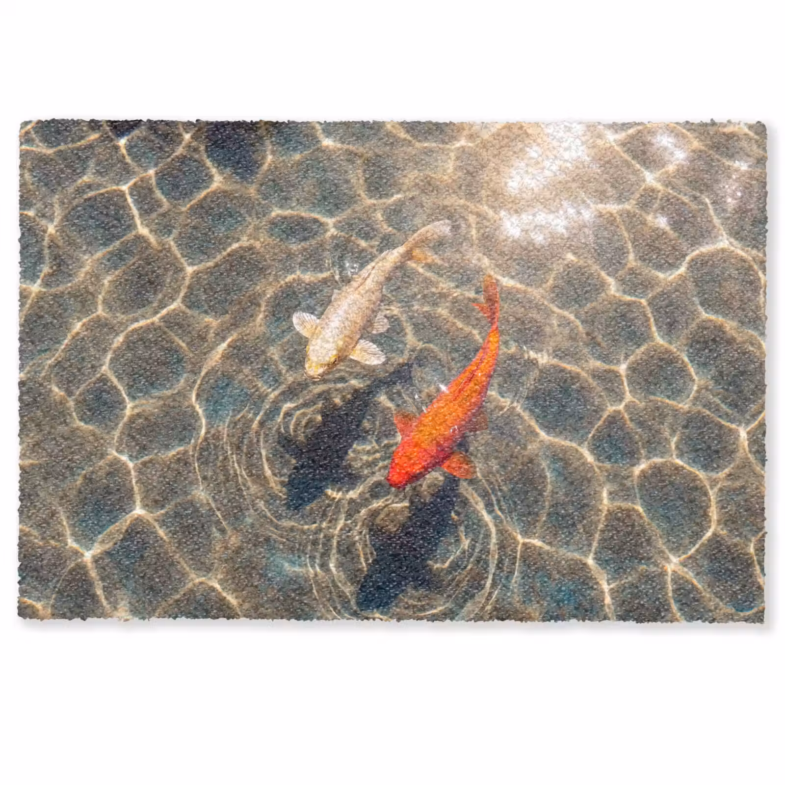 Deurmat - Vis - Water - Dieren - Oranje - Goud — 1