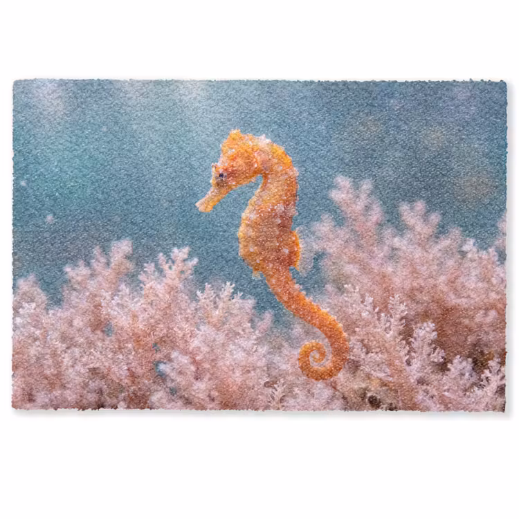 Deurmat - Vis - Koraal - Oceaan - Macro - Oranje — 1