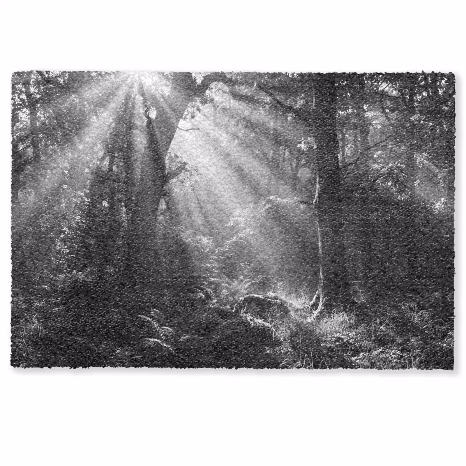 Deurmat - Bos - Lichtstralen - Natuur - Zwart-wit — 1
