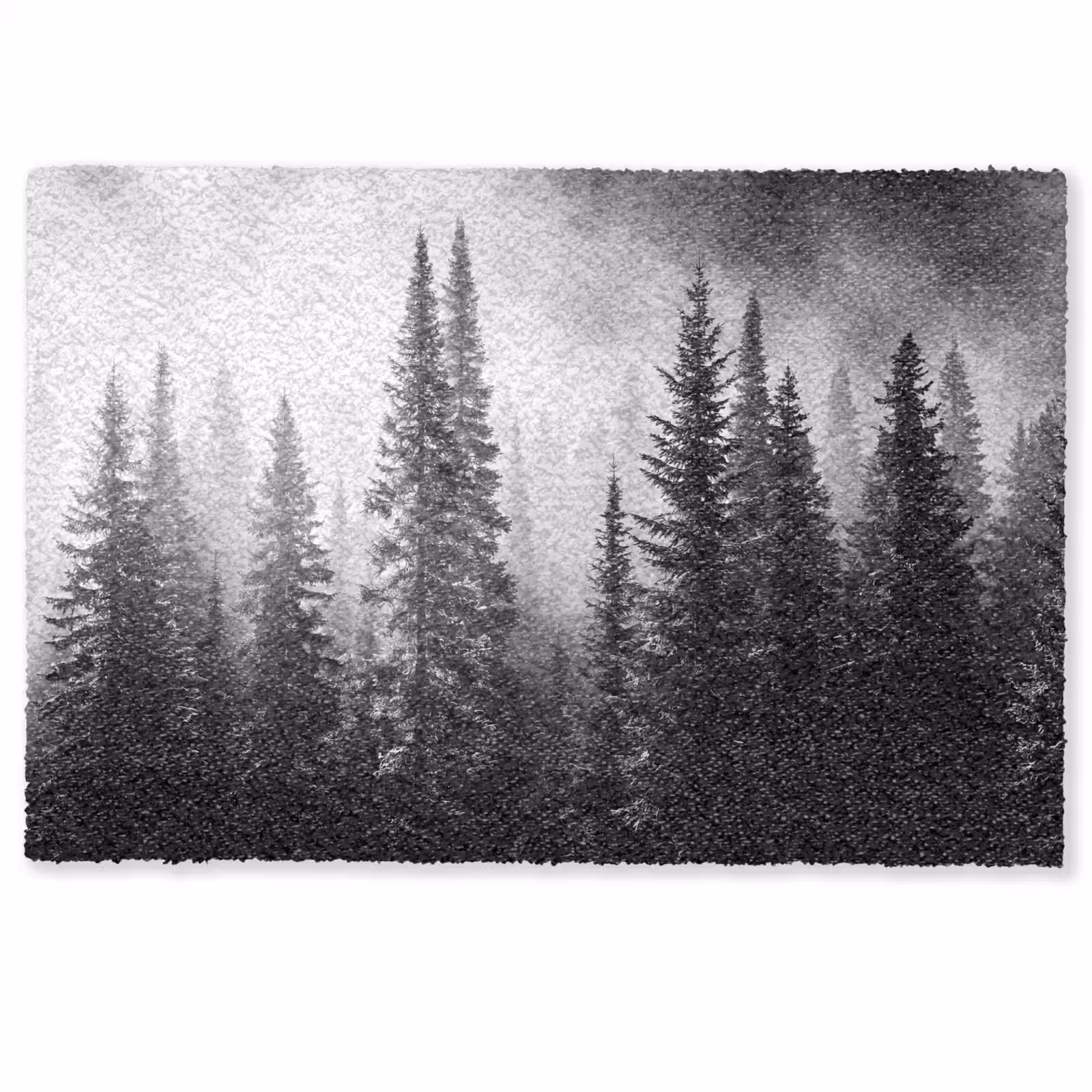 Deurmat - Bos - Mist - Winter - Monochroom - Natuur — 1