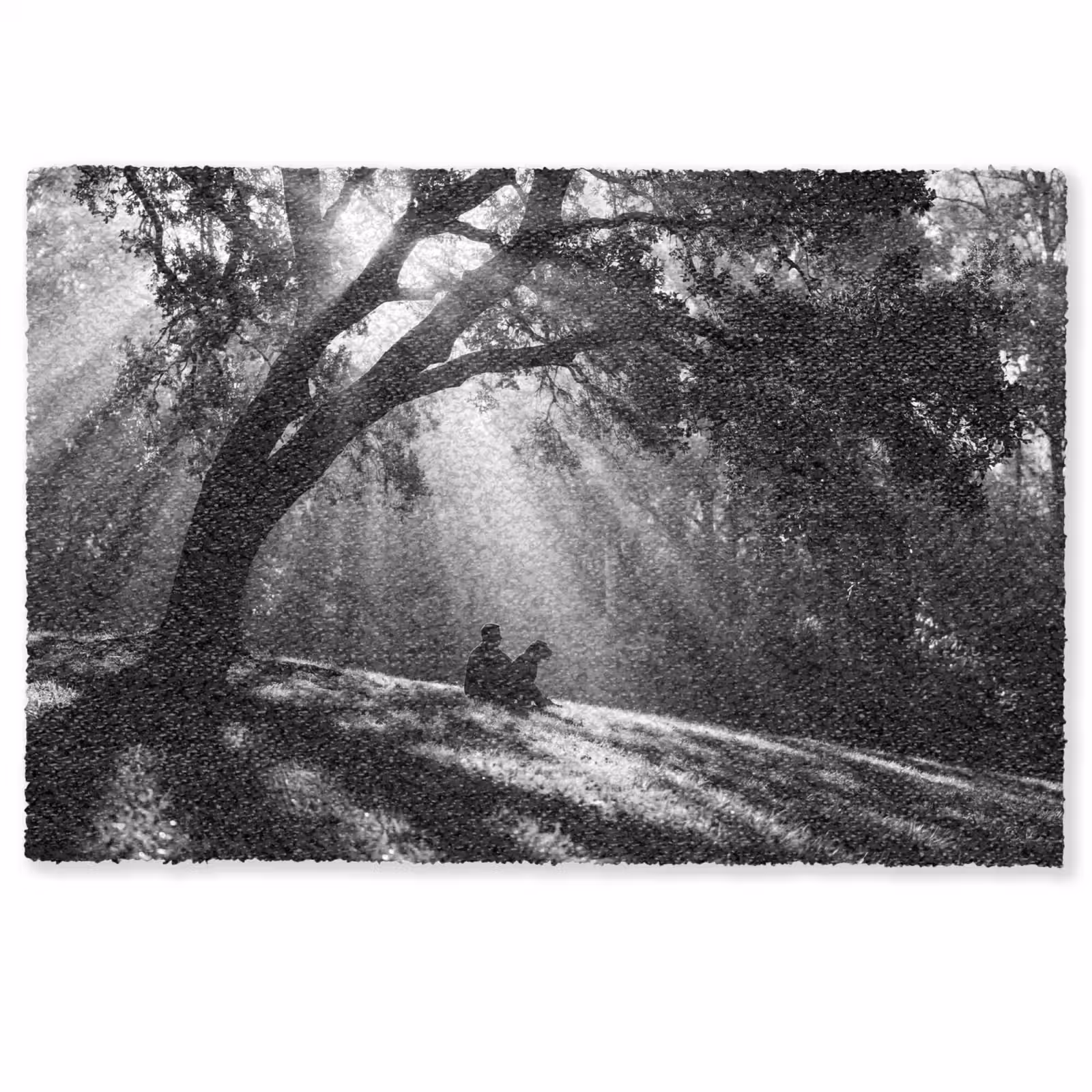 Deurmat - Mens - Hond - Natuur - Zwart-wit - Silhouet — 1