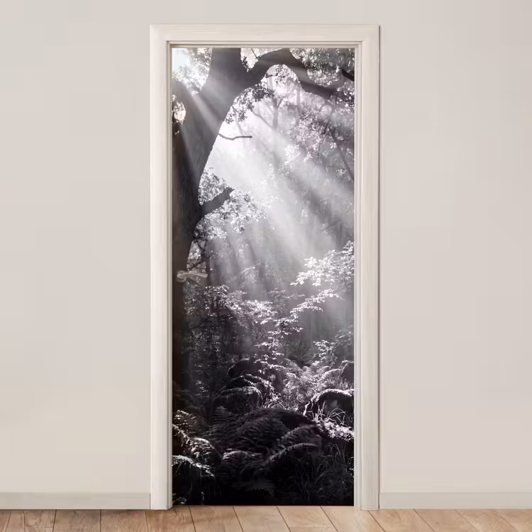 Deursticker - Bos - Lichtstralen - Natuur - Zwart-wit — 1