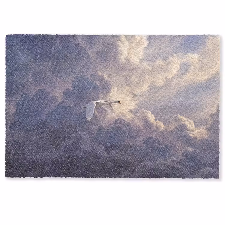 Deurmat - Vogel - Vliegend - Natuur - Wit - Wolken — 1