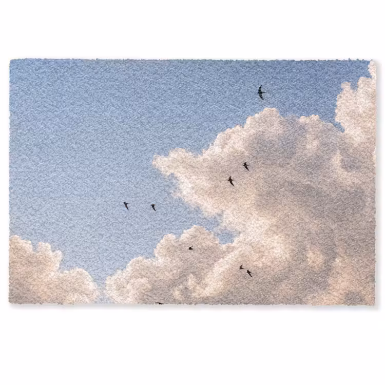 Deurmat - Vogel - Vlucht - Wolken - Natuur - Blauw — 1