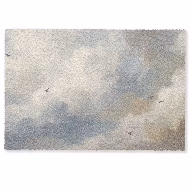 Deurmat - Vogel - Wolken - Natuur - Modern - Grijs — 1
