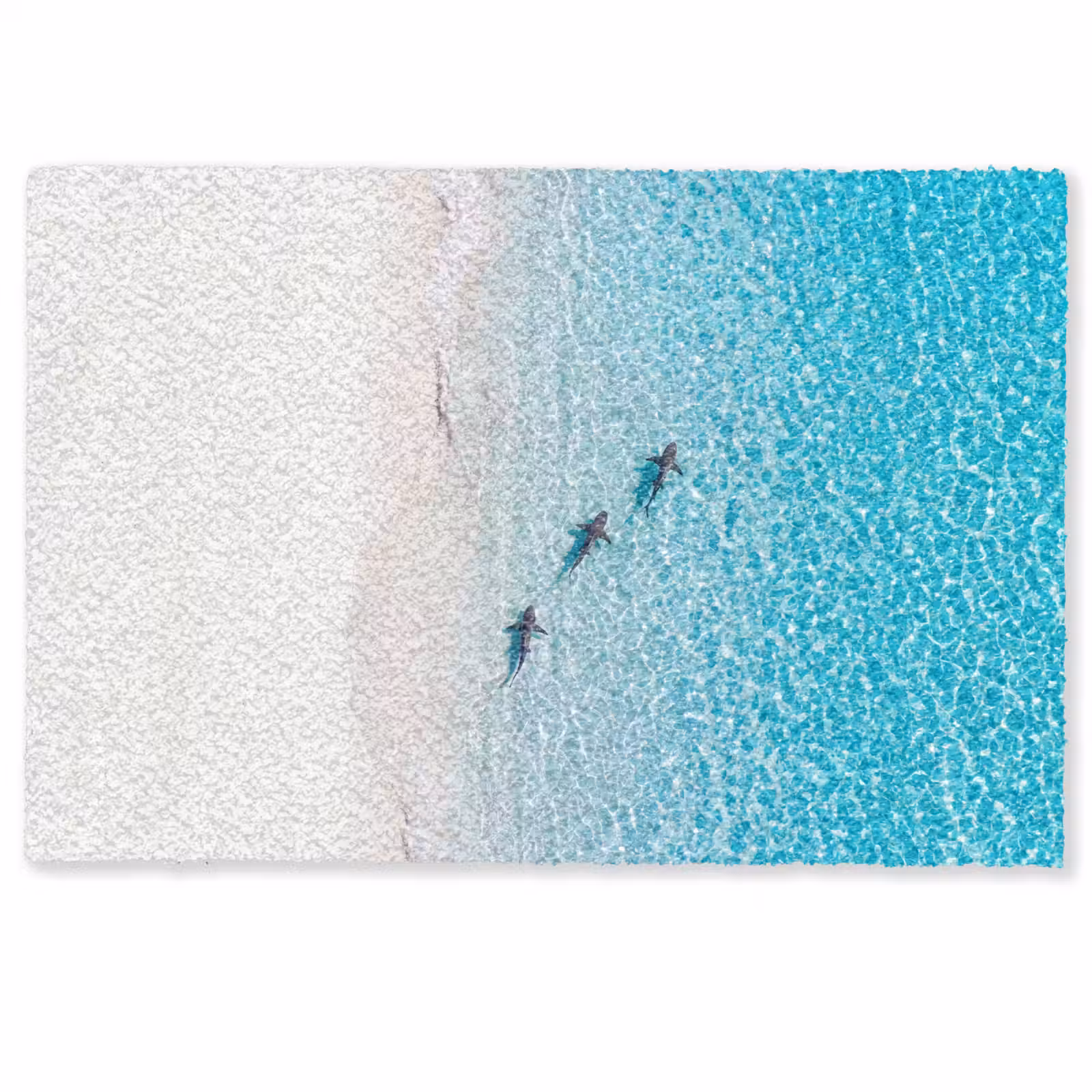 Deurmat - Vis - Oceaan - Strand - Turquoise - Natuur — 1