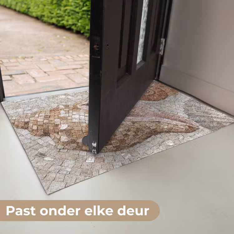 Deurmat - Schelp - Mozaïek - Zee - Beige - Modern — 7