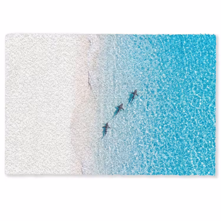 Deurmat - Vis - Oceaan - Strand - Turquoise - Natuur — 1