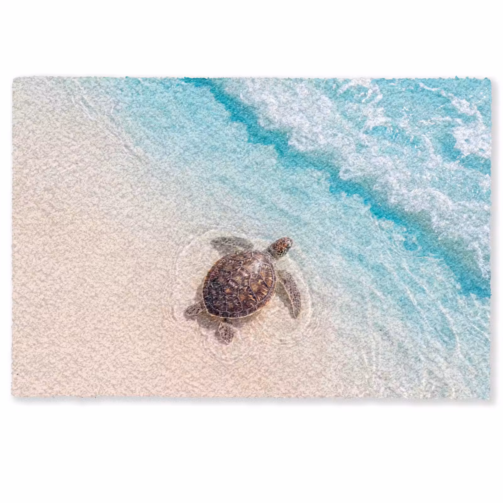 Deurmat - Schildpad - Helder water - Strand - Dieren - Natuur — 1