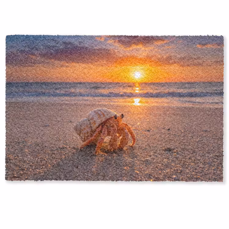 Deurmat - Kreeft - Strand - Natuur - Zonsondergang - Oranje — 1