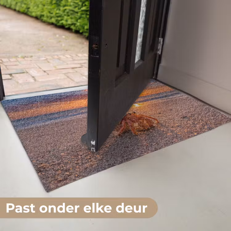 Deurmat - Kreeft - Strand - Natuur - Zonsondergang - Oranje — 7