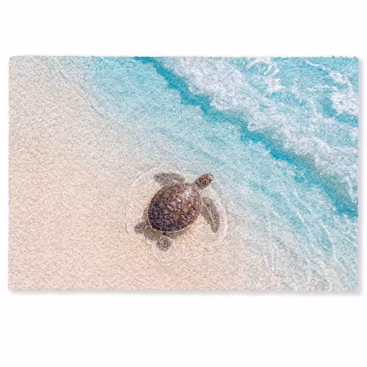 Deurmat - Schildpad - Helder water - Strand - Dieren - Natuur — 1