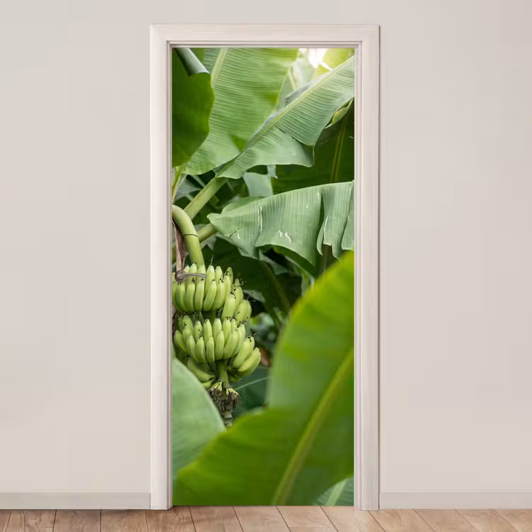 Deursticker - Eten - Bananen - Plantage - Groen — 1