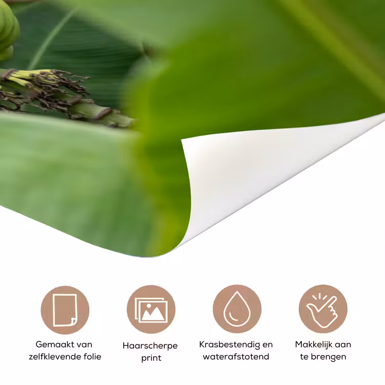 Deursticker - Eten - Bananen - Plantage - Groen — 3