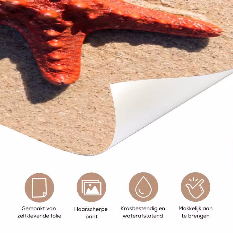 Deursticker - Dieren - Strand - Zee - Natuur - Rood — 3