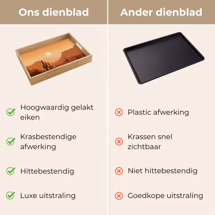 Dienblad - Landschap - Woestijn - Cactussen - Zon — 3