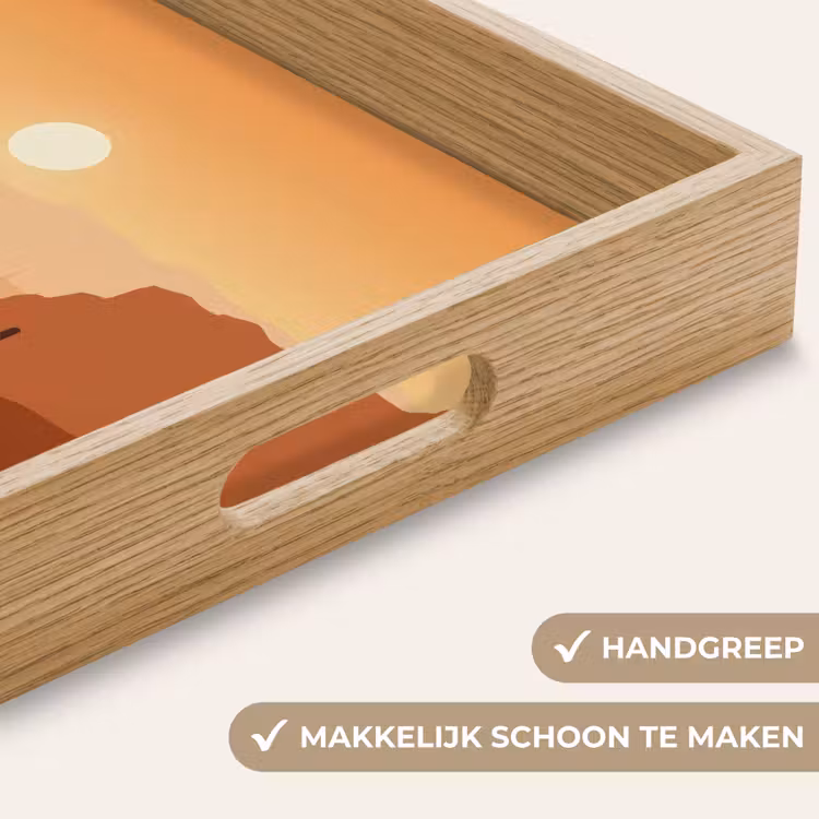 Dienblad - Landschap - Woestijn - Cactussen - Zon — 5