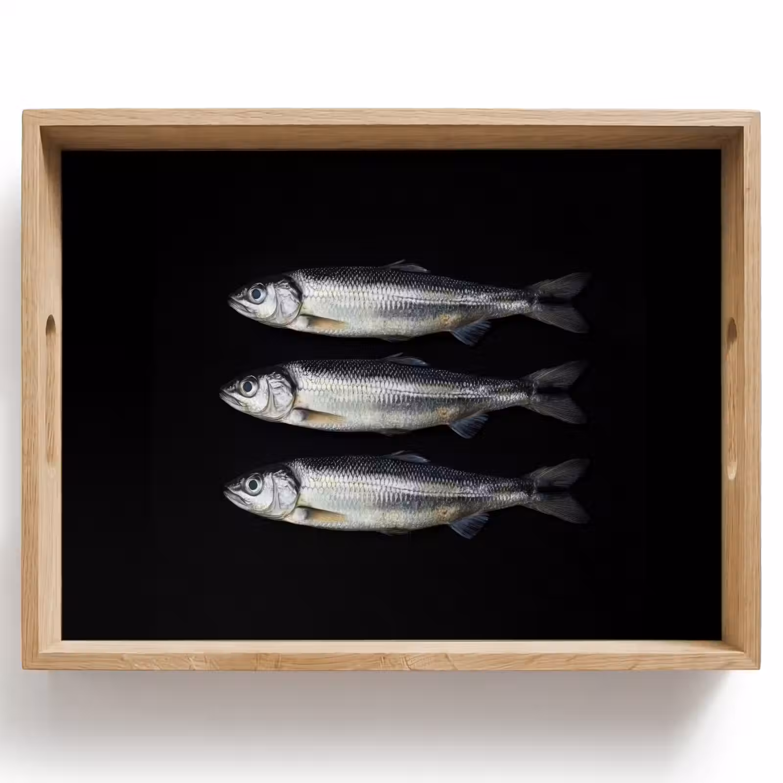 Dienblad - Haring - Vissen - Zwart — 1