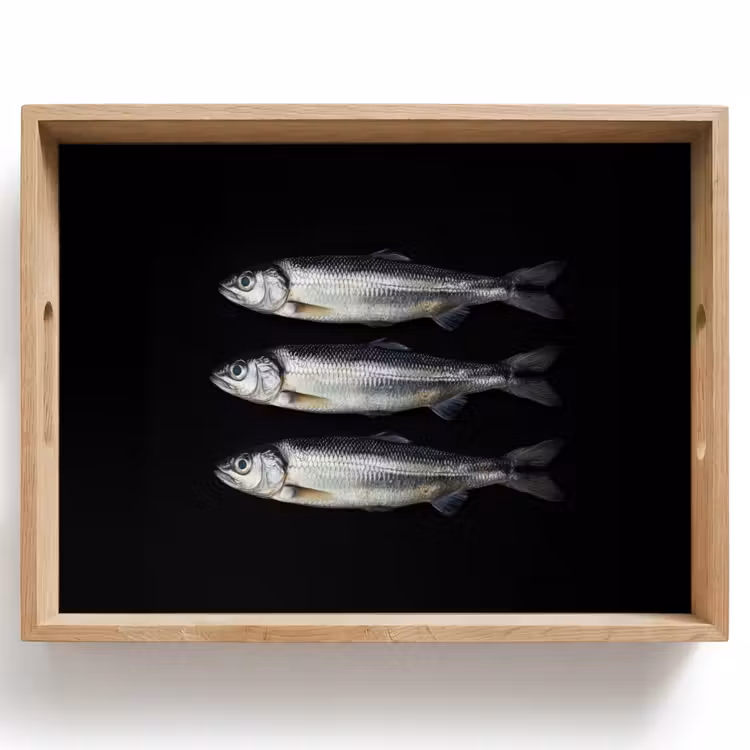 Dienblad - Haring - Vissen - Zwart — 1
