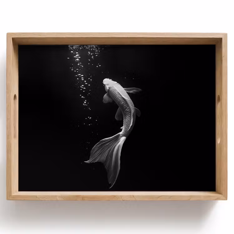 Dienblad - Koi - Vis - Wit - Zwart — 1
