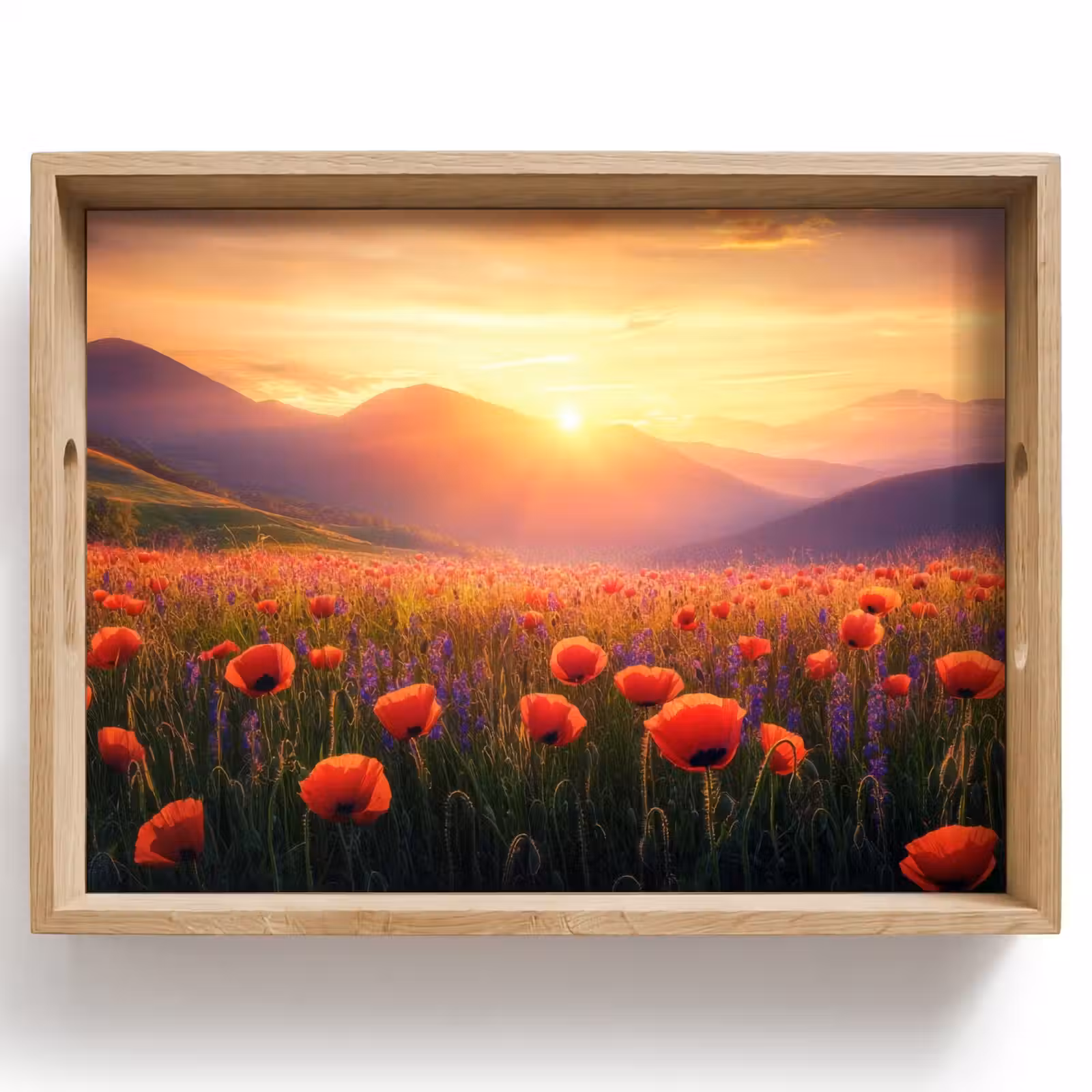 Dienblad - Landschap - Zonsondergang - Bloemenveld — 1