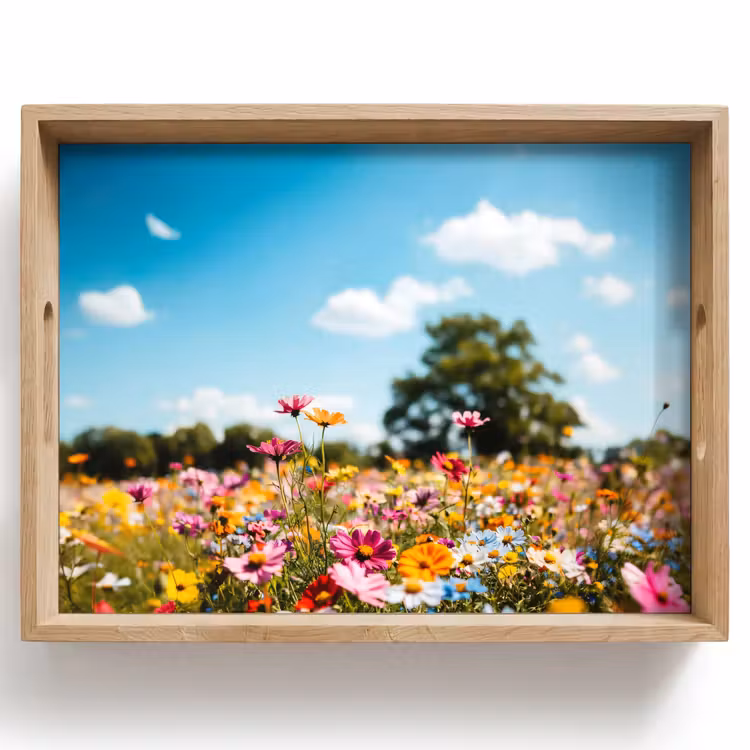 Dienblad - Bloemenweide - Blauw - Lucht - Kleuren — 1