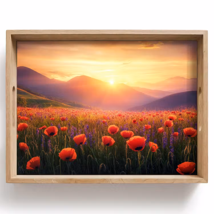 Dienblad - Landschap - Zonsondergang - Bloemenveld — 1
