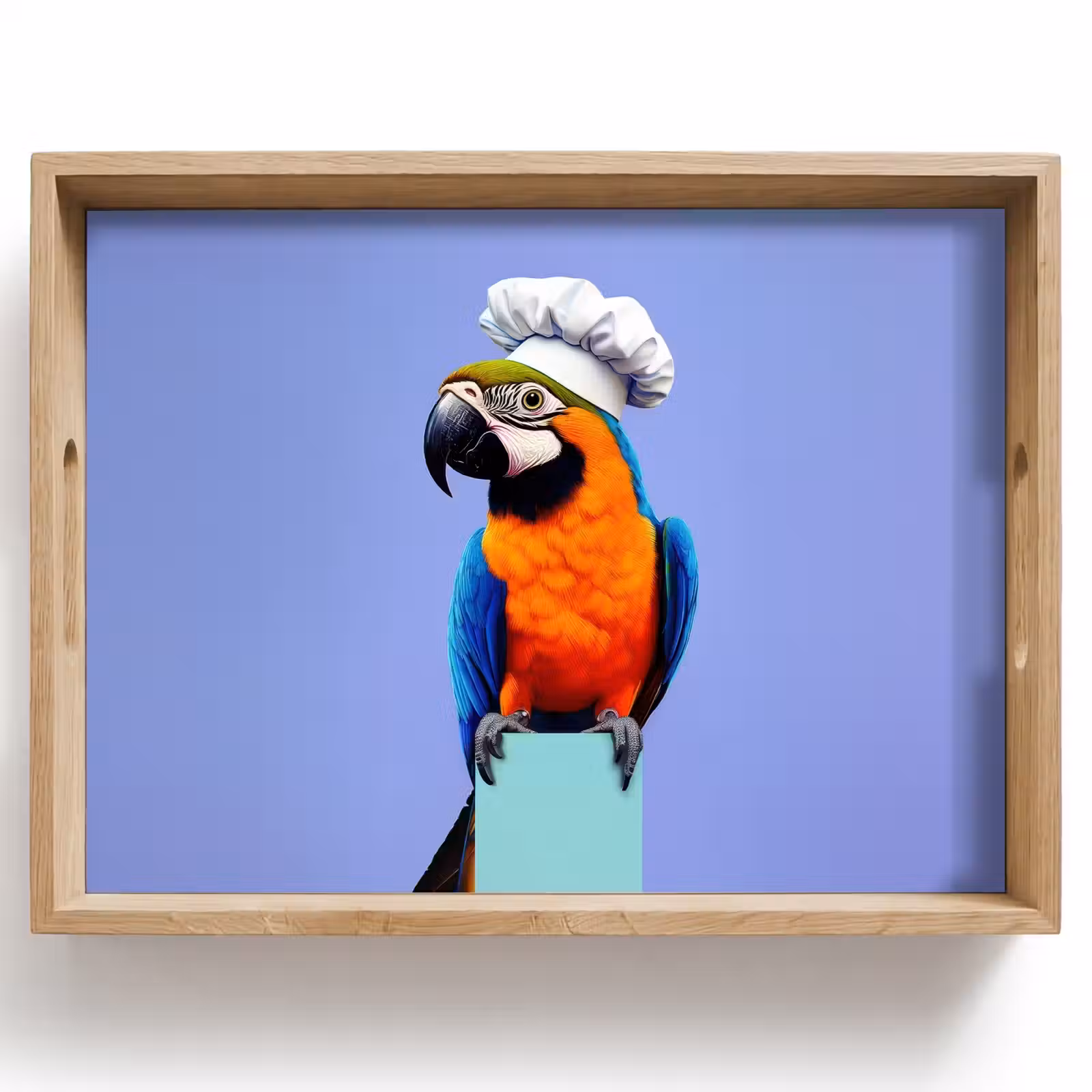 Dienblad - Papegaai - Koksmuts - Vogel - Leuk — 1
