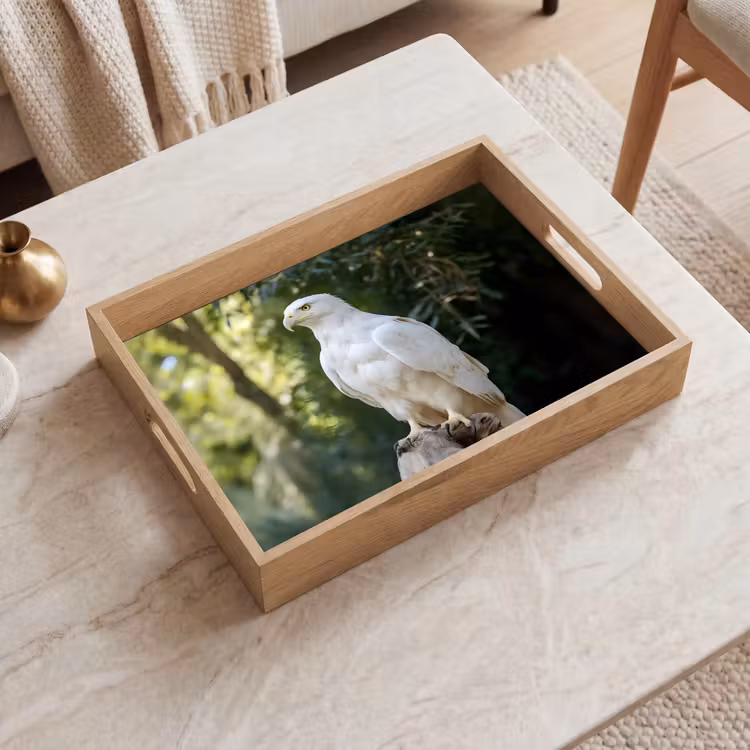 Dienblad - Arend - Hout - Wit - Planten — 2