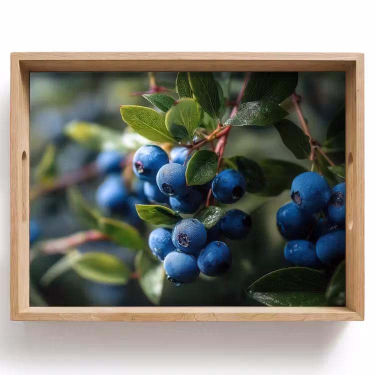 Dienblad - Blauwe bessen - Dauwdruppels - Natuurlijk licht — 1