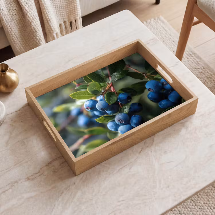 Dienblad - Blauwe bessen - Dauwdruppels - Natuurlijk licht — 2