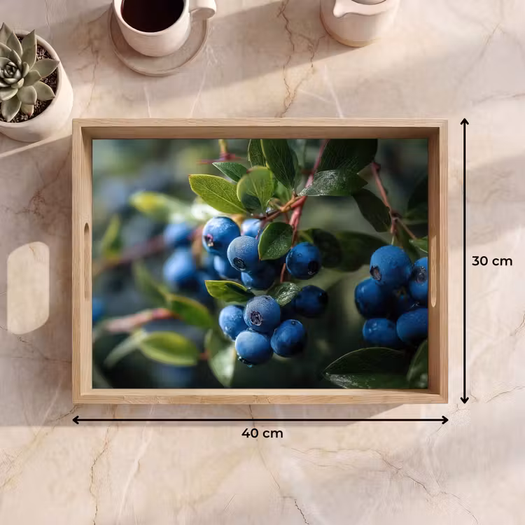 Dienblad - Blauwe bessen - Dauwdruppels - Natuurlijk licht — 9
