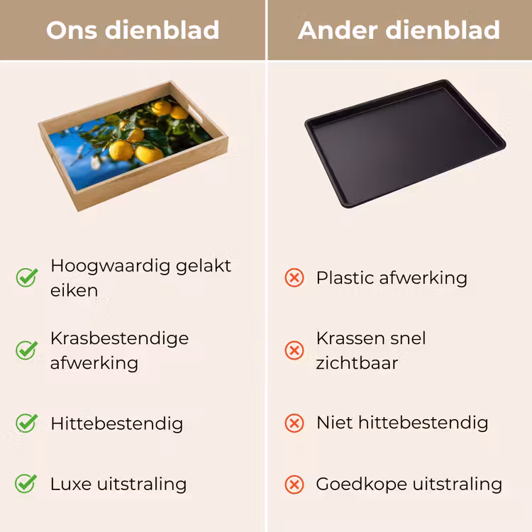 Dienblad - Citroenen - Bladeren - Blauwe lucht — 3