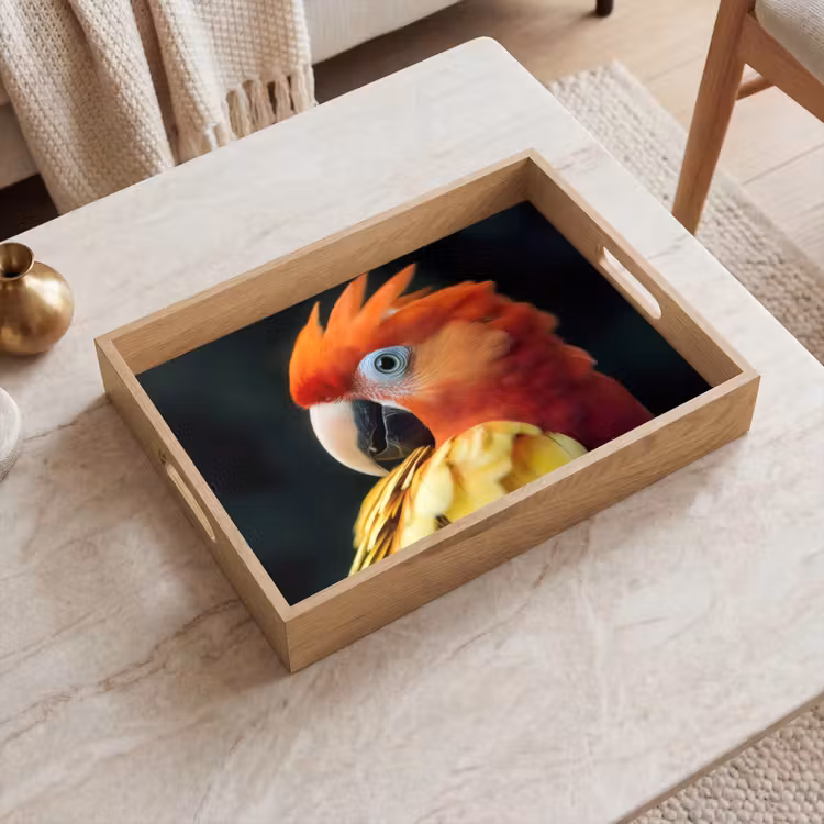 Dienblad - Close-up - Papegaai - Veren - Oranje — 2