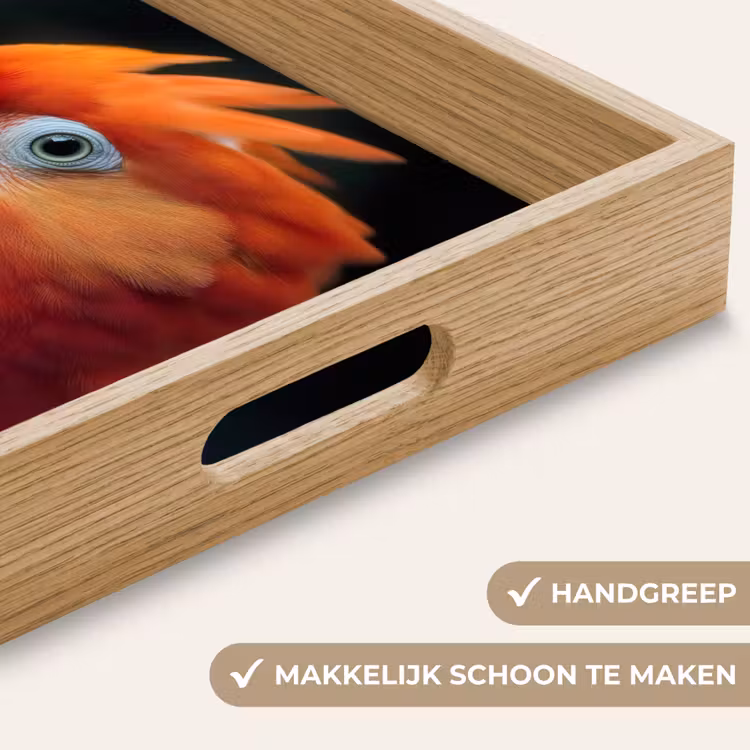 Dienblad - Close-up - Papegaai - Veren - Oranje — 5