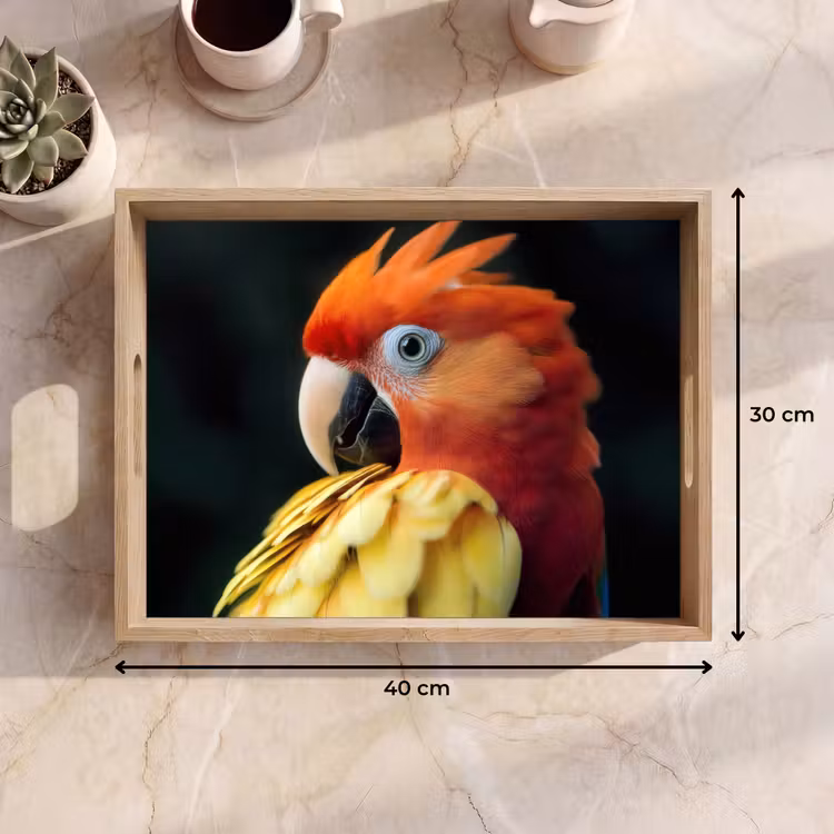 Dienblad - Close-up - Papegaai - Veren - Oranje — 9