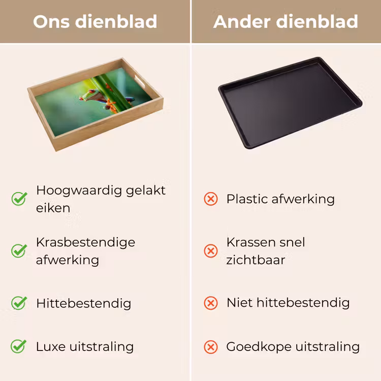 Dienblad - Groene kikker - Nieuwsgierig - Gras — 3