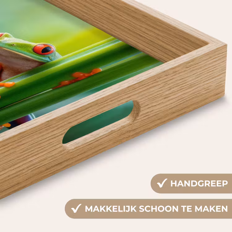 Dienblad - Groene kikker - Nieuwsgierig - Gras — 5