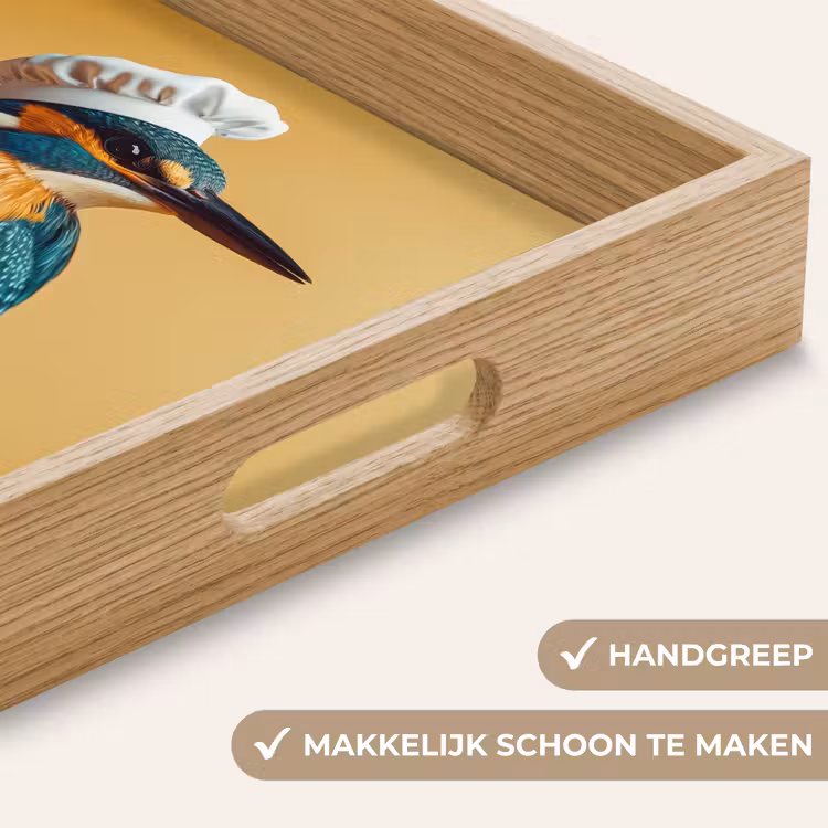 Dienblad - Ijsvogel - Pilaar - Koksmuts - Vogel — 5