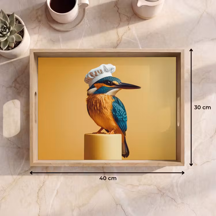 Dienblad - Ijsvogel - Pilaar - Koksmuts - Vogel — 9