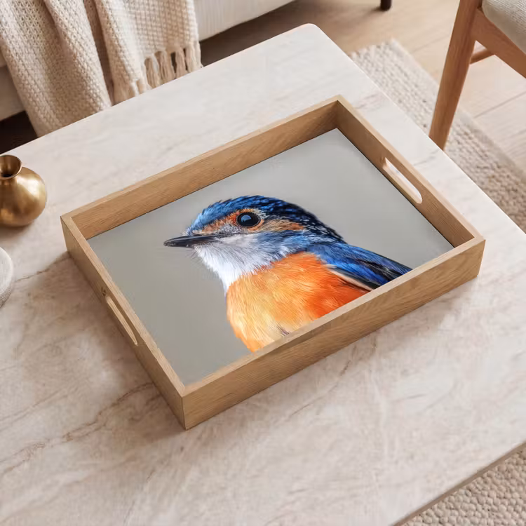 Dienblad - Kleurrijk - Vogeltje - Veren - Blauw — 2