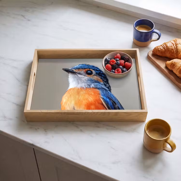 Dienblad - Kleurrijk - Vogeltje - Veren - Blauw — 4